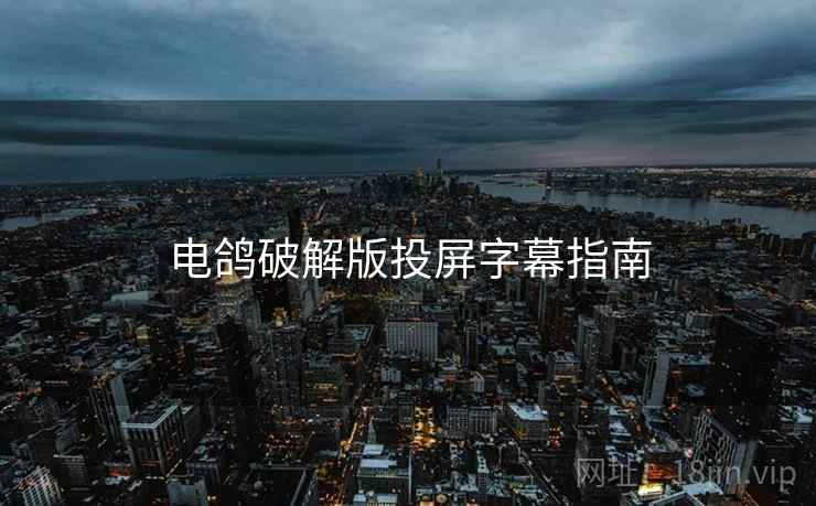 电鸽破解版投屏字幕指南