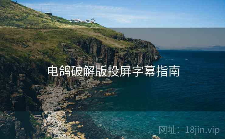 电鸽破解版投屏字幕指南