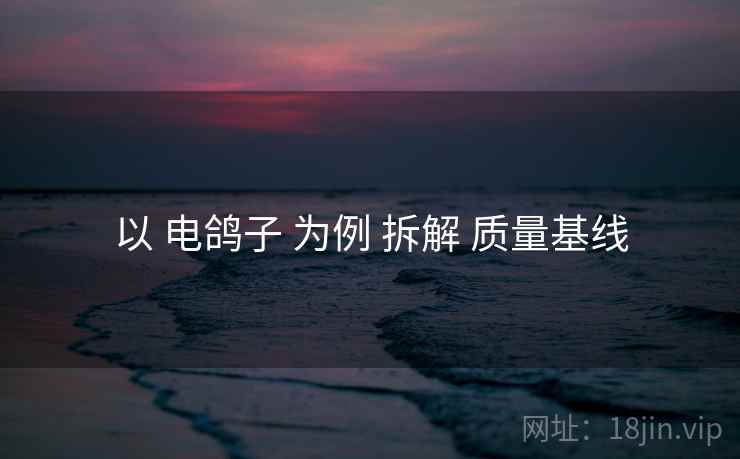 以 电鸽子 为例 拆解 质量基线