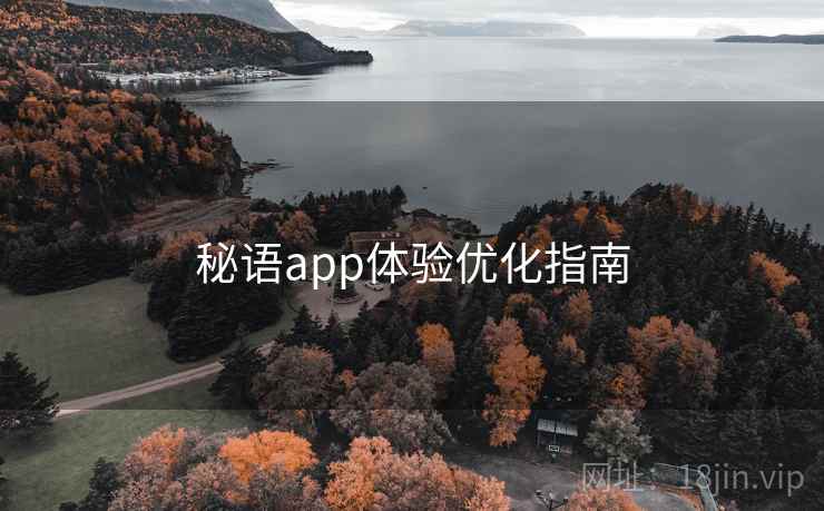 秘语app体验优化指南